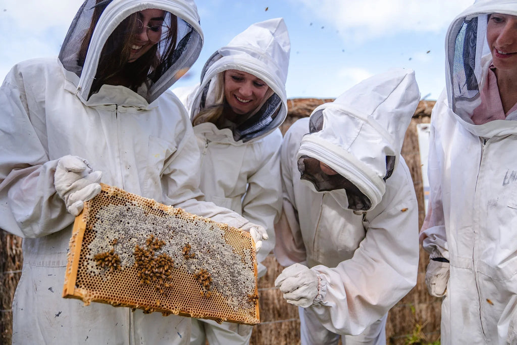 Swan Valley Group Beekeeping Experience