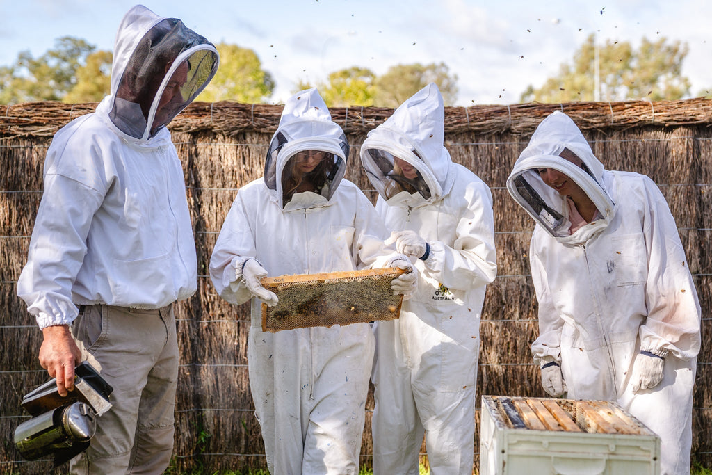 Thinking of Beekeeping? Here's why you should do a Beekeeping Workshop