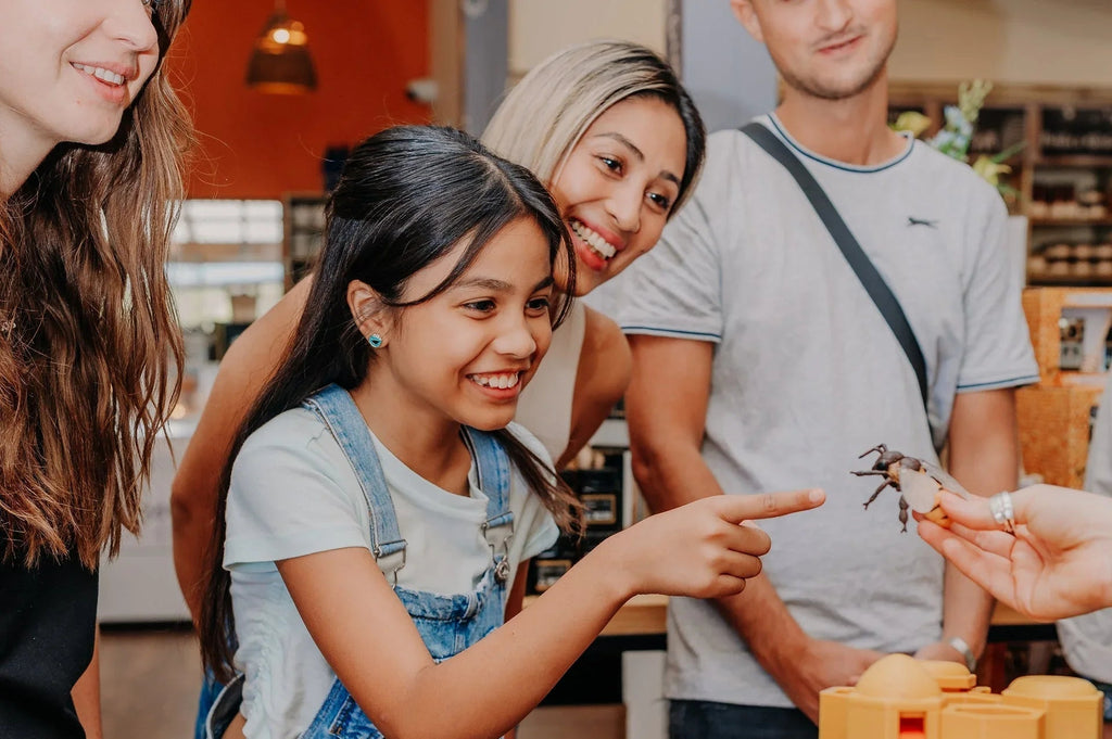 The Honey Bee Tour: December