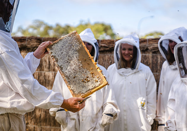 Swan Valley Group Beekeeping Experience