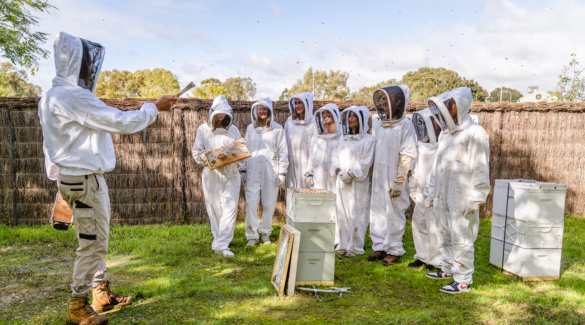 Thinking of Beekeeping? Here's why you should take part in a Beekeeping Workshop