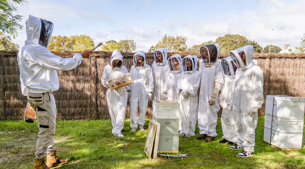 Beekeeping and Honey Sensory Workshop - Sun 9th Nov