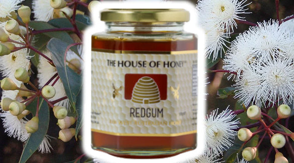 Honey of the Season: Redgum Honey