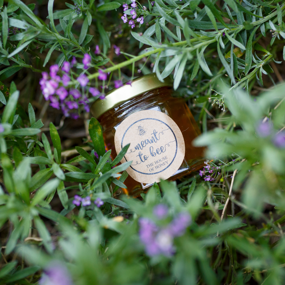 DIY Wildflower Honey