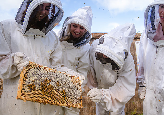 People in beekeeping suits examining a honeycomb with bees.